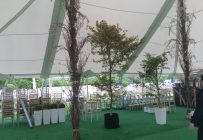 Traditional Style Marquee Hire